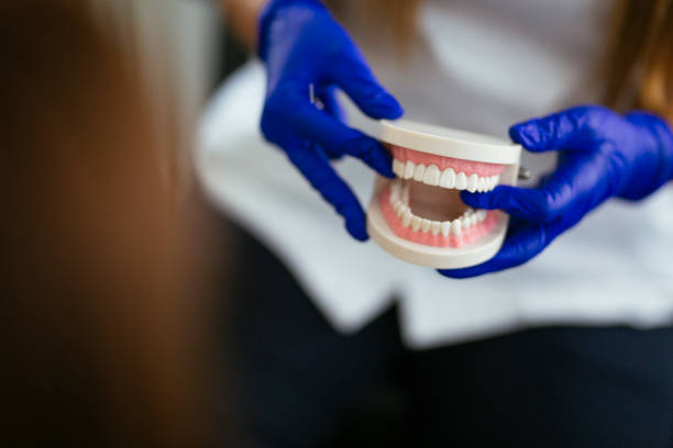 Best Veneers and Lumineers  in Holt, AL